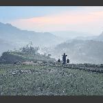 乡村即景