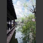 莫愁湖边