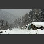 林海雪原