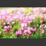春色撩人