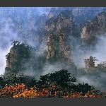 仙境天子山