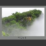 雾满仙亭