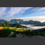 后天门