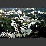 田园风光