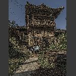 乡村即景