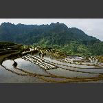 念山梯田