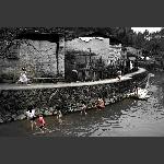 杨源村