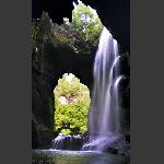 兰花洞