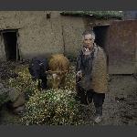 凉山掠影5