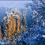 黄石寨雪