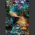 路