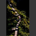 路
