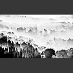 水墨