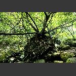 福建青云山