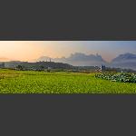 夏日的田野