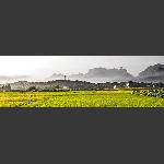 小景