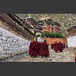 拉卜楞寺3