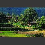 乡村即景