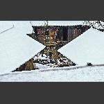 冬雪