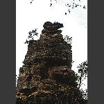 天子山风光