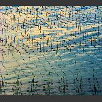 霞浦----织海