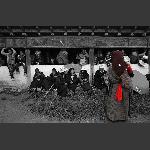 藏民生活场景7
