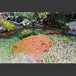 张家湾风光10