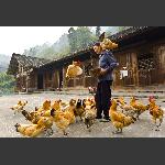 张家湾风情2