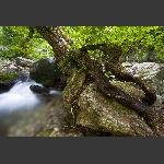 张家湾风光2