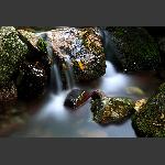 张家湾水韵1