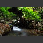 张家湾水韵2