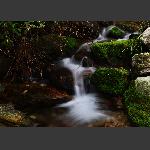 张家湾--青苔与溪水