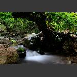 张家山的水韵（2）