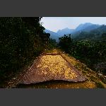 张家湾--晒场