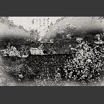 春