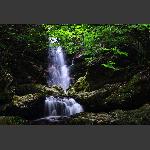 张家湾--张家溪之六