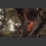 《千年孤独》组照
