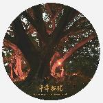 《千年孤独》组照