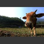 张家湾采风26