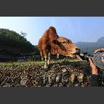 张家湾采风27