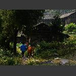 张家湾印象8