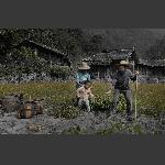 张家湾印象2