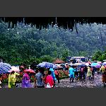风雨无阻