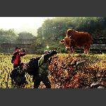 大师与裸模