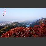秋天来临1