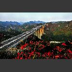 《天路》