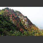 崇山2