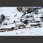 雪村
