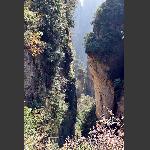 大美袁家界（4）