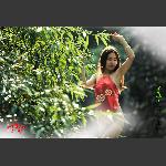 老道湾人体艺术摄影2